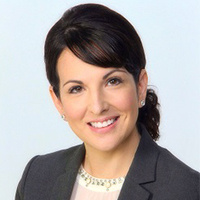 Pamela Ann Borgess Lawyer
