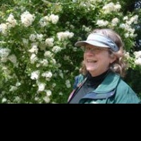 Mary Ellen Mary Lawyer