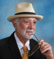 Vincent A Vincent Lawyer