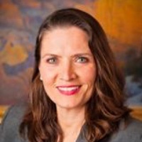 Dana R. Dana Lawyer