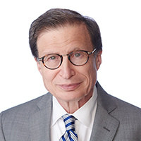 David M. Levy Lawyer