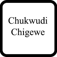 Mr. Chukwudi M. Chigewe