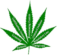 Grand Rapids Cannabis Attorneys