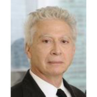 Mr. Raymond Alan Levites