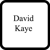 David  Kaye Lawyer