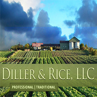 Diller & Rice LLC