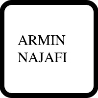 Armin M. Najafi