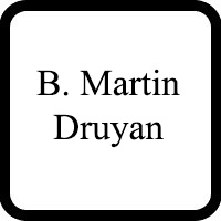 B. Martin Druyan Lawyer