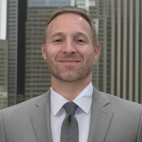 Mr David William Nelson