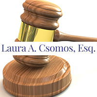 Laura Ann Csomos Lawyer