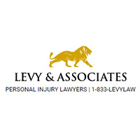 Levy & Associates