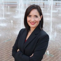 Cynthia  Favila-Terry Lawyer
