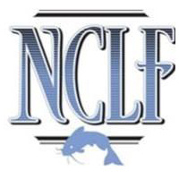 The Nick Carter Law Firm, P.C.